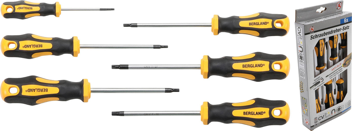 Atsuktuvų rinkinys | T-Star (Torx) T10-T30 | 6 vnt. (35826)