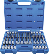 Набор бит | 12,5 mm (1/2") | TP-Star с отверстием (Torx Plus) TP20 - TP70 | 32 шт.