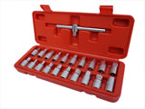 BITS FOR UNSCREWING OIL DRAIN PLUGS | 10 MM (3/8") | 21 PCS. (SK1460B)