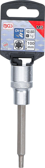 Antgalis | ilgis 100 mm | 12,5 mm (1/2") | Spline (RIBE) | M5 (4160)