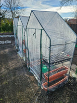 WALK-IN GREENHOUSE (90030)