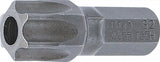 Antgalis | 8 mm (5/16") storio | T-Star su skyle (Torx) T55  (4455)