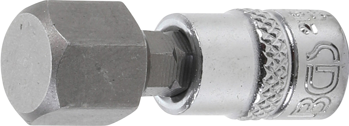 Antgalis įpresuotas į galvutę | 6,3 mm (1/4") | hex šešiakampis 12 mm (2161-12)